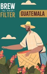 Guatemala Medium Roast Filtre Kahve 250 Gr.